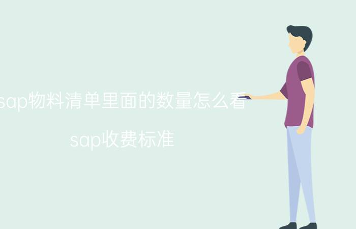 sap物料清单里面的数量怎么看 sap收费标准？